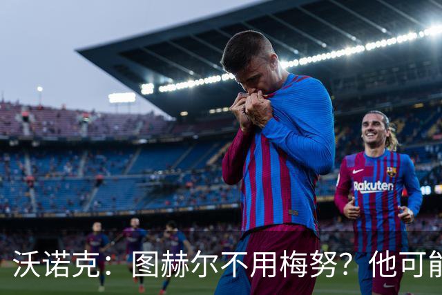 沃诺克：图赫尔不用梅努？他可能担心梅努踢得好会显得他愚蠢