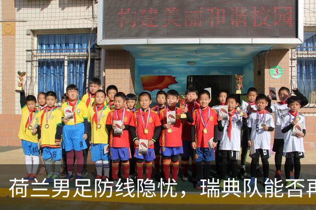 荷兰男足防线隐忧，瑞典队能否再续佳绩？