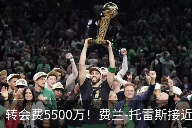 转会费5500万！费兰-托雷斯接近加盟大巴黎，罗德里加盟巴萨进入倒计时
